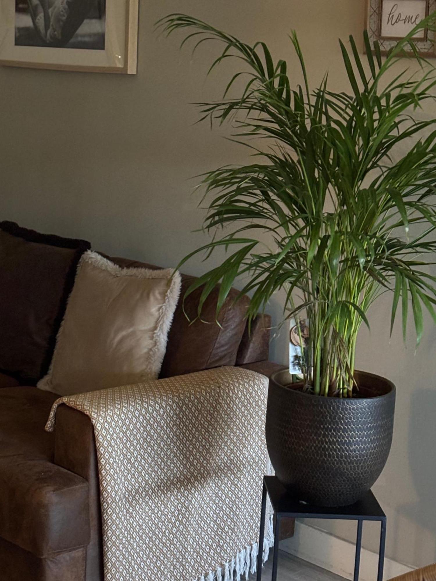 Chez Flo Apartment Avignon Luaran gambar